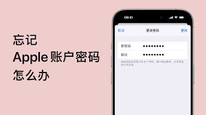 惊了！Apple Vision Pro密码忘啦？速看解决办法！