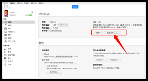 原来苹果系统怎么降级