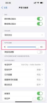 iPhone 15 Pro Max震动设置全指南