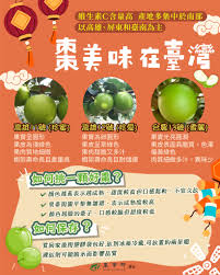 非蜜枣是什么意思