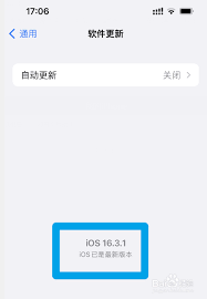 惊爆！苹果 12 系统版本查看方法大，速来！