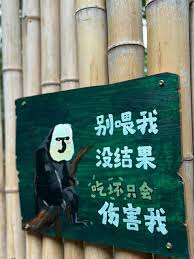 惊爆！飞云直下，猜猜这究竟是哪一个精准生肖？