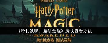 哈利波特魔法觉醒：魔杖查看位置大