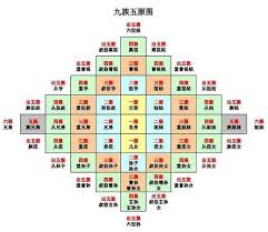 惊爆！“三蛮当一理”究竟啥意思？速来一探究竟！