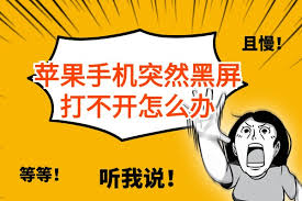 苹果手机黑屏打不开的解决办法