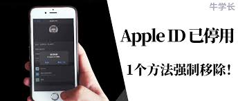 苹果手机ld停用？快速解决办法全知道