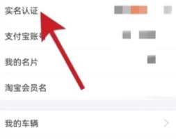 惊爆！支付宝实名认证竟能这样更换，速来一探究竟！