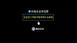 抖音员工号与子账号是否相同？核心要点大