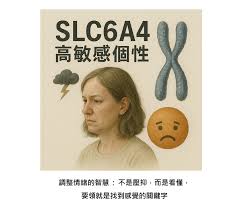 惊！坐在凸起木棒上，究竟是啥奇妙感觉？