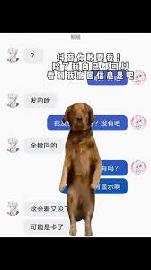 抖音撤回消息对方究竟能不能看到？
