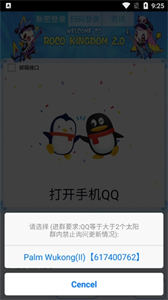 掌上悟空