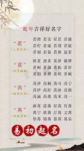 惊爆！聚金成塔竟与这个生肖暗藏神秘关联，速来一探究竟！