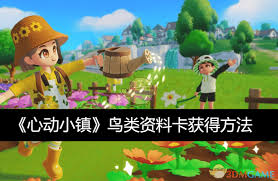 震惊！心动小镇鸟类资料卡获取秘籍大公开！