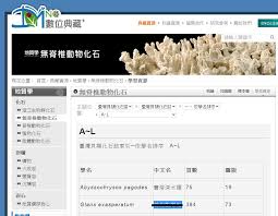 惊爆！“蛤龟”究竟是什么意思？快来一探究竟！