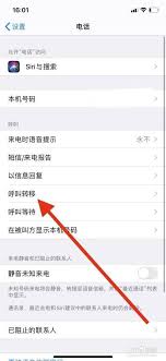 原来苹果手机如何设置呼叫转移功能