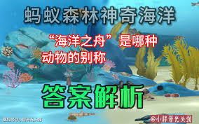 震惊！海洋之舟竟指这种动物，你绝对想不到！