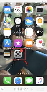 苹果11自动更新关闭后如何进行更新