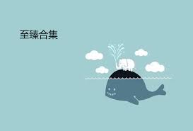 活力四射的含义深度解析及相关内容探讨