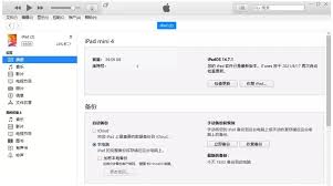 原来的iPad卡在白苹果开不了机怎么办