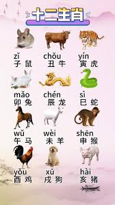 惊爆！七十二怕全知道，顺口溜带你一探究竟！