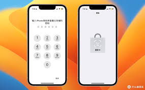 iOS 17失窃设备保护功能大