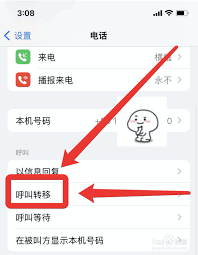 惊爆！iPhone呼叫转移设置全攻略，你知道吗？