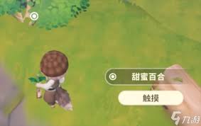 米姆米姆哈绮绿星火夜活动玩法升级：凸显核心要点