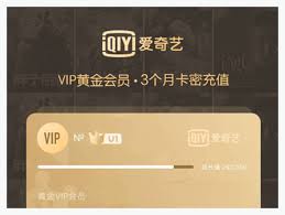 爱奇艺vip会员充值方法大