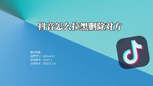 惊爆！抖音拉黑对方后竟能这样永久删除对方，好友永久删除全解析！