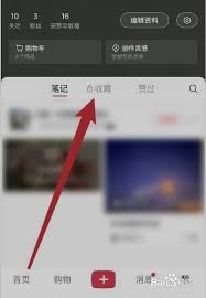 小红书笔记分类整理秘籍：凸显核心要点超高效