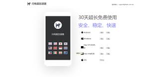 震撼！到底用哪个猫咪加速器才是最优选择？