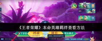 惊！王者荣耀本命英雄羁绊竟藏在这，速来一探究竟！