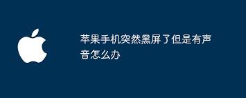 惊了！苹果手机黑屏却有声音，背后原因究竟啥情况？
