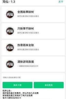 国际服画质助手
