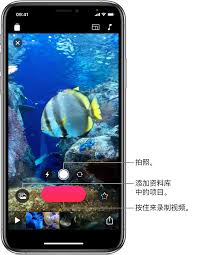原来的苹果可立拍有什么用及苹果手机中可立拍的使用方法