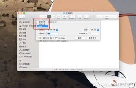 惊了！Mac 不借助第三方应用程序就能批量重命名文件，速来围观方法！
