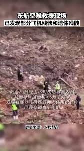 惊爆！空难人体组织碎片究竟呈现何样令人毛骨悚然？