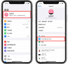 惊！Apple ID密码忘啦咋整？快速找回密码全攻略在此！