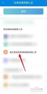 震惊！宁夏等级认证竟有这般操作方法，速来一探究竟！