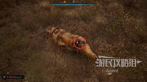 潜行者2夜莺的狩猎支线任务全解析：轻松过关秘籍大公开