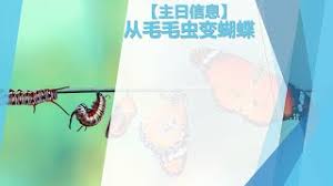 惊！夫妻二人竟盯着麦片里的毛毛虫看，背后真相令人咋