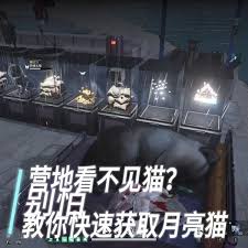 震惊！七日世界中获取月亮猫的超神秘方法大公开！