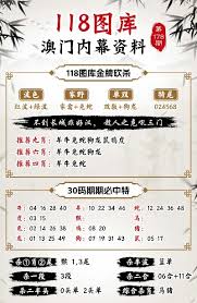 原来最准三码中特期期准公式大