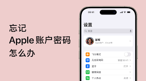 苹果手机忘ID密码？速看解决办法