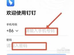 电脑如何登录钉钉账号