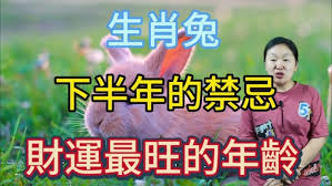 震惊！2021 年属兔的下半年竟有这般惊人大事发生，生肖兔下半年运势深度剖析！