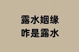 露水姻缘是什么意思
