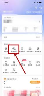 惊爆！苹果手机如何一键关闭抖音月付功能？超简单教程快戳！