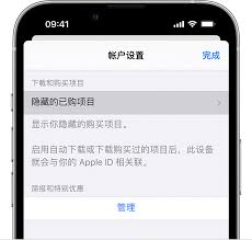 iPhone查看与重新下载已购App Store项目指南