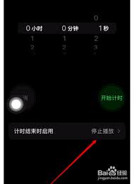 惊！苹果手机定时暂停竟能这样开启，速看！